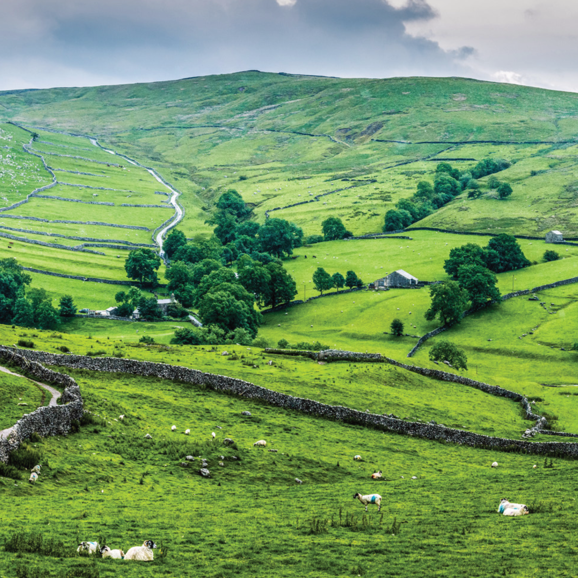 The Dales Collection